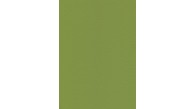 04118 TORONTO EN coloris 0014 OLIVE GREEN