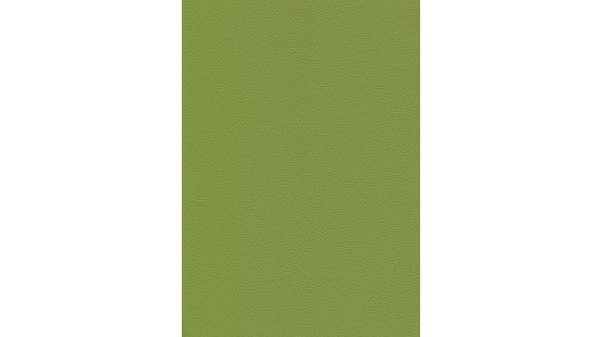 04118 TORONTO EN coloris 0014 OLIVE GREEN