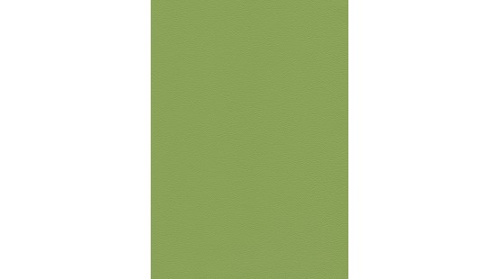 04107 GEMINI coloris 0002 GREEN