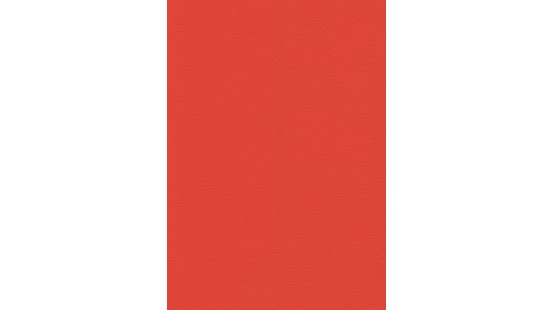 04107 GEMINI coloris 0006 RED